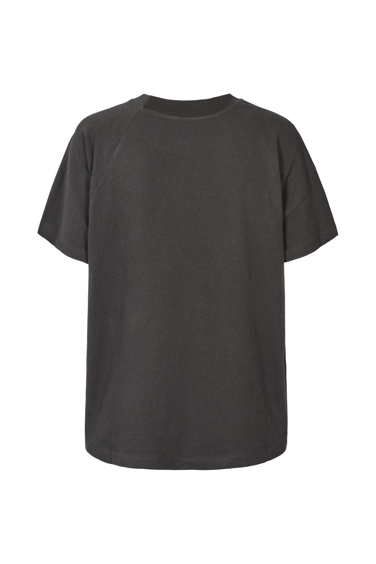 Ary - Fragile boxy t-shirt I Faded black