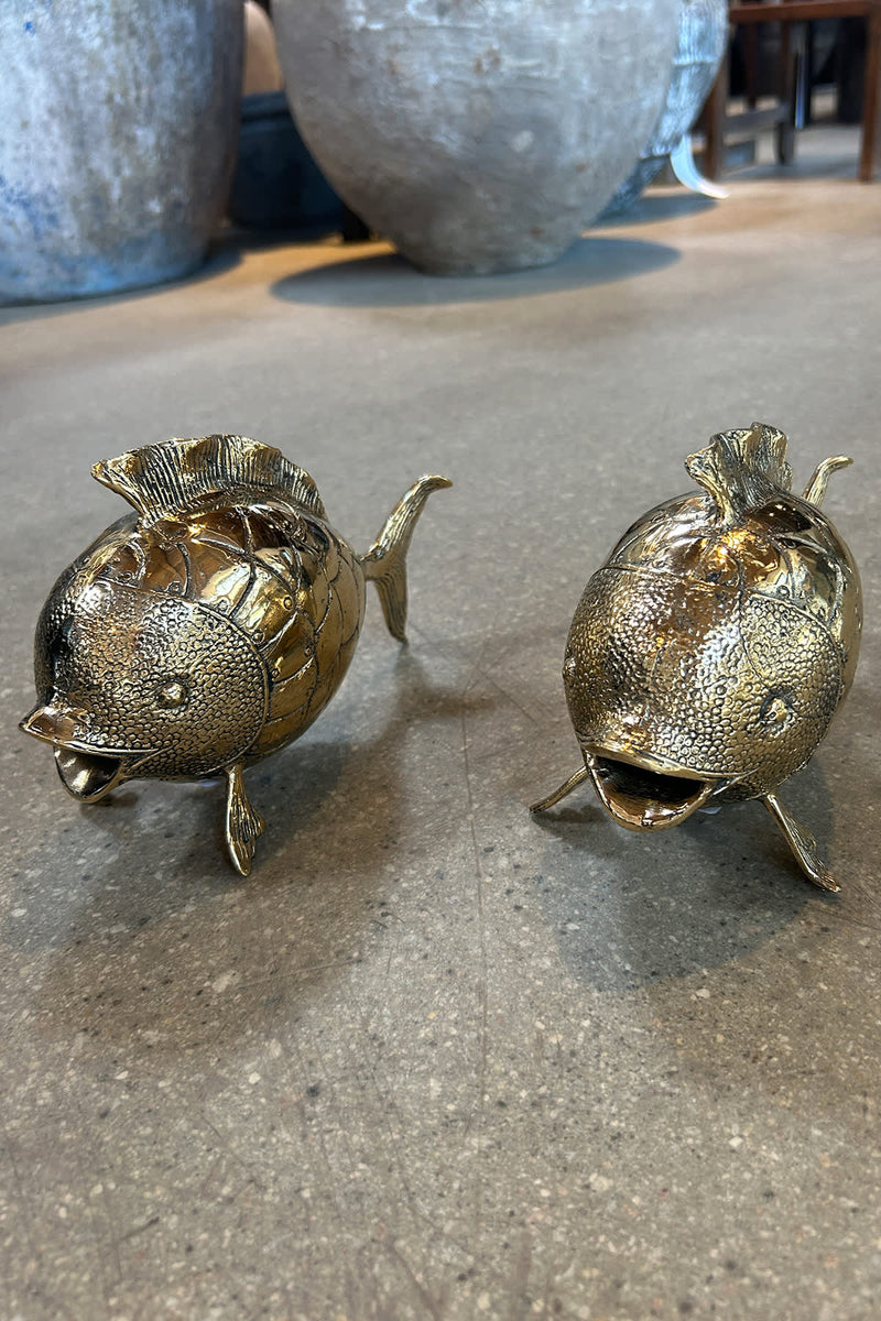 Decorative Brass Fish - Rabens Apartment I Brass