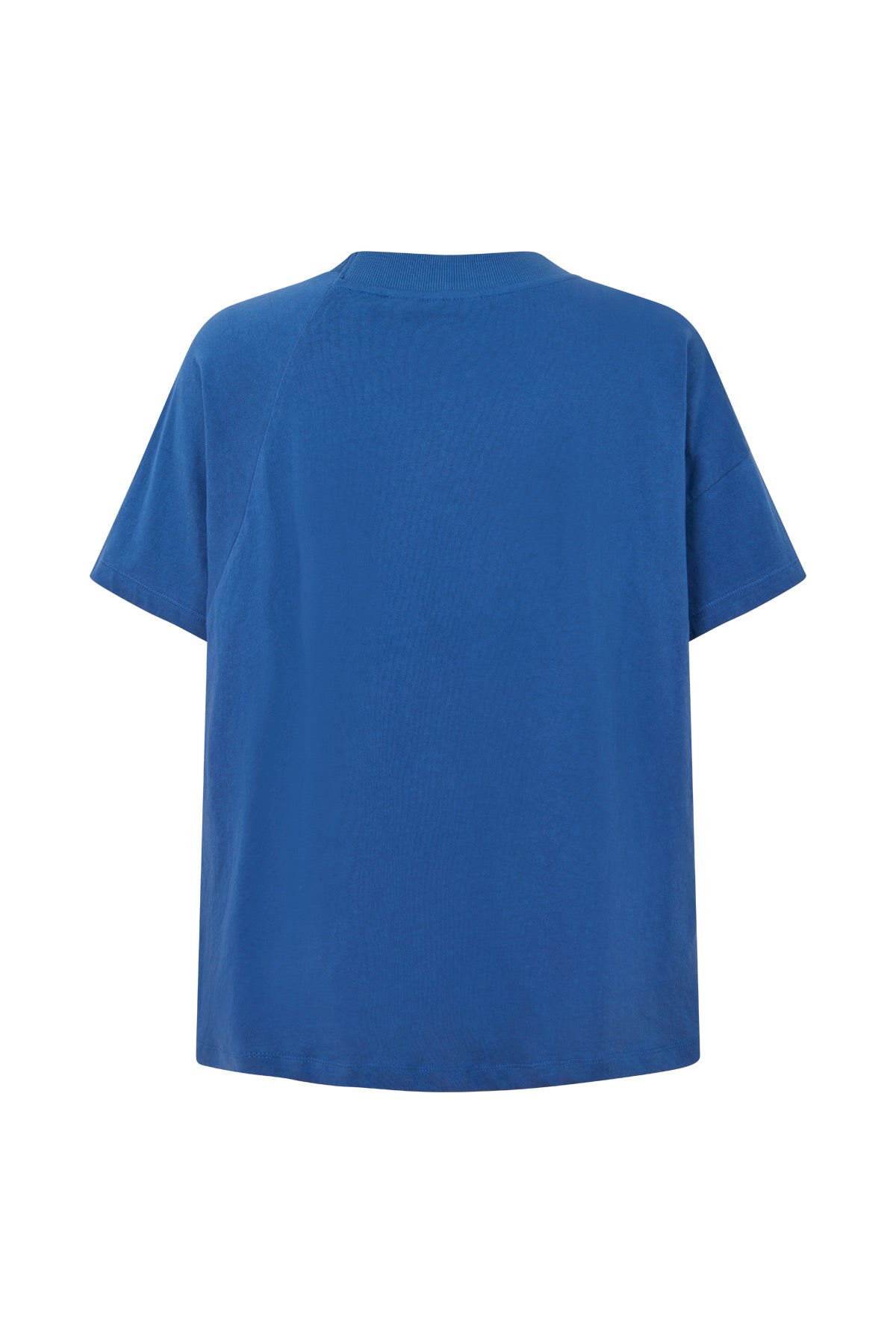 Ary - Fragile boxy t-shirt I Blue
